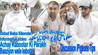 Ustad Baba SikanderAchay Kabotar Ki PehchanBaaziyon wale KabotarInformative videoDiscussionTips