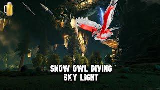 ARK UNOFFICIAL  Wiping SKY LIGHT