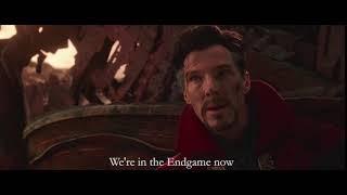 Avengers Infinity War - Were in the Endgame now