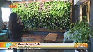 Greenhouse Cafe - Citrus Heights