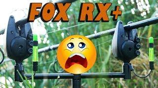 Сигнализаторы поклевки Fox RX+ за 70К. Это нужно видеть