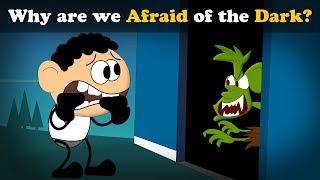 Why are we Afraid of the Dark? + more videos  #aumsum #kids #science #education #children