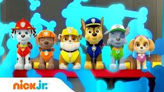 PAW Patrol Polish  Official Theme Song Music  Nick Jr.