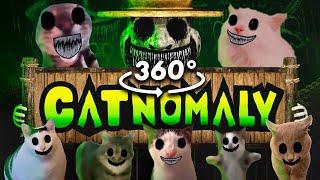 360º VR CATNOMALY