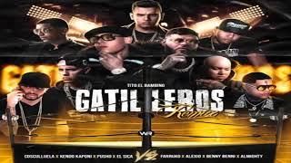 CARBON FIBER MUSIC VS ROTTWEILAS INC. GUERRA COMPLETA  QUIEN GANÓ ?