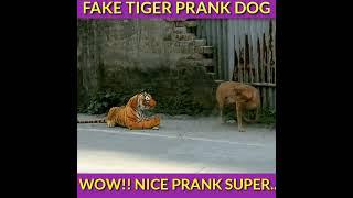 Sleeping dog vs fake tiger prank on dog funny #short