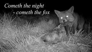 Cometh the night -  cometh the fox