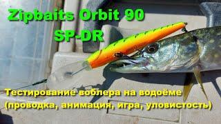 Zipbaits Orbit 90 SP-DR - тестирование воблера на водоёме проводка анимация игра уловистость