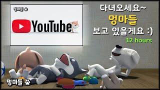 반려견이 즐거운 멍마들 놀이영상과 음악 장시간 외출 시 보여주세요 - Mungmadle that makes your dog happy