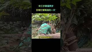 福宝跟她的宋三岁打情骂俏的一天，太可爱啦！ 感谢朋友们送的超级感谢！#大熊貓 #panda #福宝