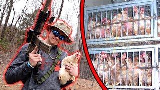 I RESCUED P.O.W. CHICKENS *Hostage Situation*
