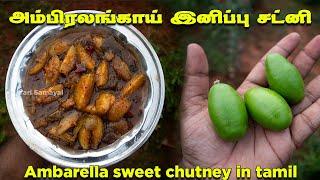 தோட்டத்தில அம்பிரலங்காய் பிடுங்கி இனிப்பு சட்னி செய்வம் வாங்க  Ambarella sweet chutney in tamil