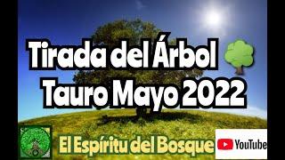 Tirada del árbol TAURO MAYO 2022