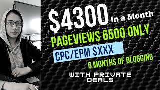 Blog Earnings Proof Made $4300+ With 6500 Pageviews Private Deals