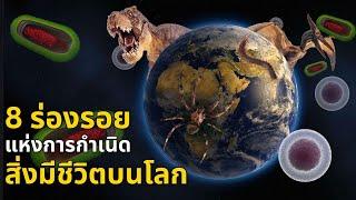 8 ร่องรอยแห่งการกำเนิดสิ่งมีชีวิตบนโลก