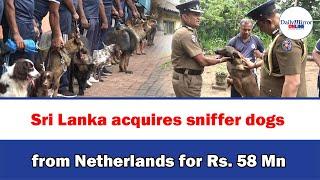 Sri Lanka acquires sniffer dogs from Netherlands for Rs. 58 Mn