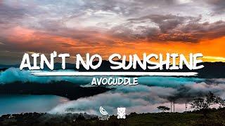 Avocuddle - Aint No Sunshine Lyrics