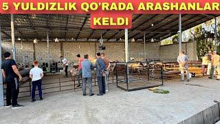 ARASHANLAR KELDI 5 YULDIZLIK QORAGA