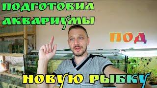 Остался почти без Гуппи Подготовил 8 аквариумов под новую рыбку на разводне