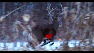 A Frostbite Monster Buck with a Bow Chronicle 44