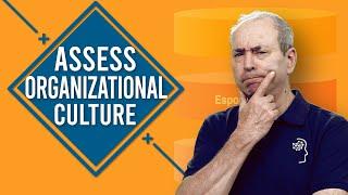 How to Assess Organizational Culture