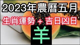 【古柏論命每月運勢 + 吉日凶日】2023年農曆五月陽曆618  717生肖運勢分享 -  羊