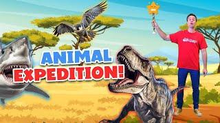 Animal Videos for Kids 50 Minutes of Fun Educational Videos for Kids  Baba Blast