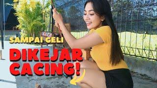 MANCING JADI SERU KARENA DIKEJAR CACING