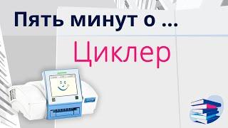 Пять минут о... Циклер