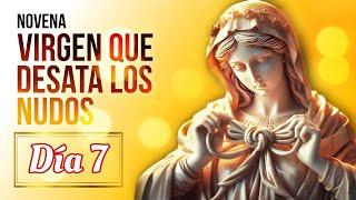 Día 7  Novena Virgen Desatanudos  Wilson Tamayo