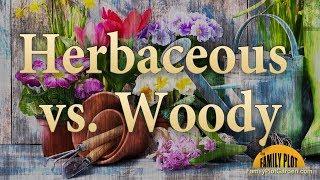 Herbaceous Versus Woody - Garden Glossary