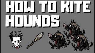 HOW TO KITE HOUNDS IN DST - a quick look at how to fight hounds in Dont Starve Together