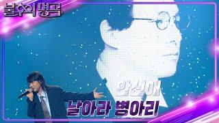 안신애 - 날아라 병아리 불후의 명곡2 전설을 노래하다Immortal Songs 2  KBS 241012 방송