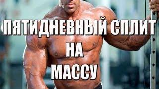 ПЯТИДНЕВНЫЙ СПЛИТ НА МАССУБОЛЬШАЯ БАНКА