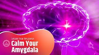 Calm Your Amygdala Reduce Anxiety & Fear With Soothing Music  Lessen Fear Response