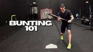 How To Bunt - Beginners Guide To Bunting