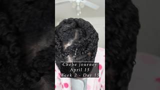Chebe journey for thick hair. Week 2 Day 15. Time to wash my hair. #naturalhaircare #naturalhair
