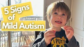 Mild Autism  5 Signs in Kids