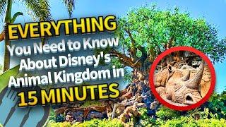 Everything You Need to Know About Disneys Animal Kingdom in 15 Minutes