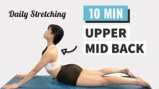 Upper & Mid Back Pain Relief Exercises for Beginners Follow Along