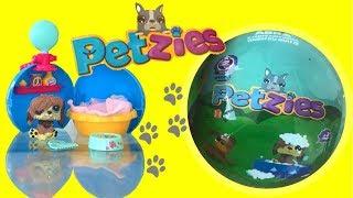 ABRINDO PETZIES SURPRISE  UMA BOLA COM MUITAS SURPRESAS