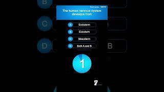 The human nervous system develops from #biology #brain