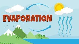 What is evaporation   How salt is made  Evaporation process & facts  Evaporation video for kids