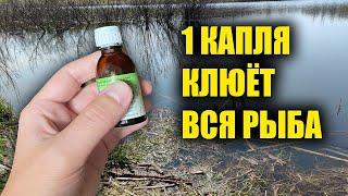 ЛЕТОМ ВСЯ РЫБА КЛЮЁТ НА ЭТО ВСЕГО 1 КАПЛЯ И КЛЮЁТ ВСЯ РЫБА