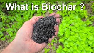 What is Biochar? - How does it Improve Soil Fertility?  -  For Gardens Lawns Trees and Shrubs