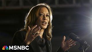 ‘Democrats being Democrats’ Michael Steele pushes back on questions over Harris’s campaign efforts