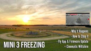 Mini 3 Freezing Issue Why It Happens & How to Fix It - Fly App & FW Update