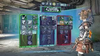 Borderlands 2 Best Mechromancer Gaige Level 30 Build