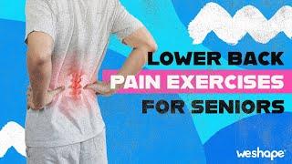 Lower Back Pain Exercises For Seniors
