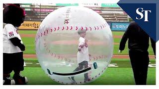 Covid-19 No fans virtual cheerleaders at South Koreas socially-distant baseball